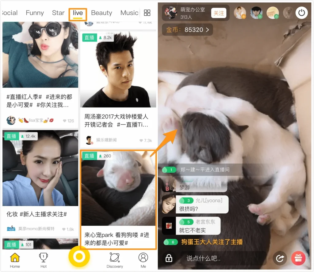 Yizhibo live streaming interface featuring celebrities, lifestyle creators, and pet content