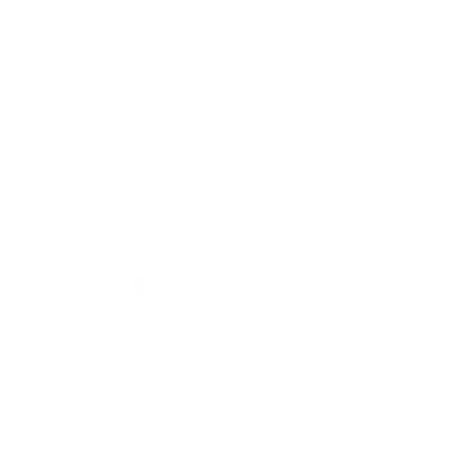 mobile first digital ecosystem in china