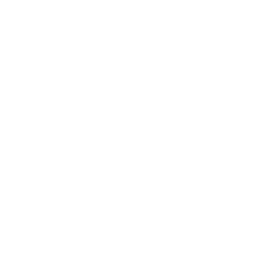 china's in depth research by chozan