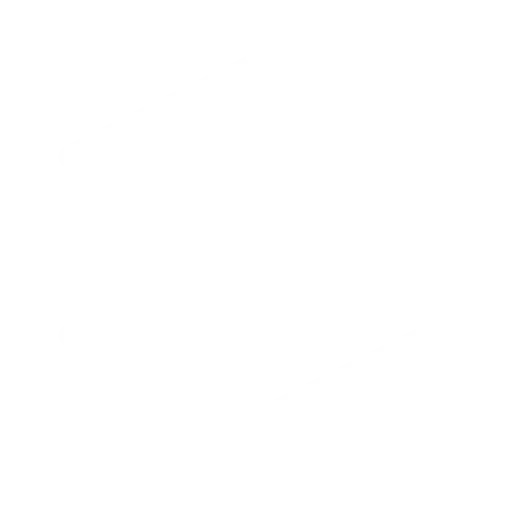 chinese technology and innovation