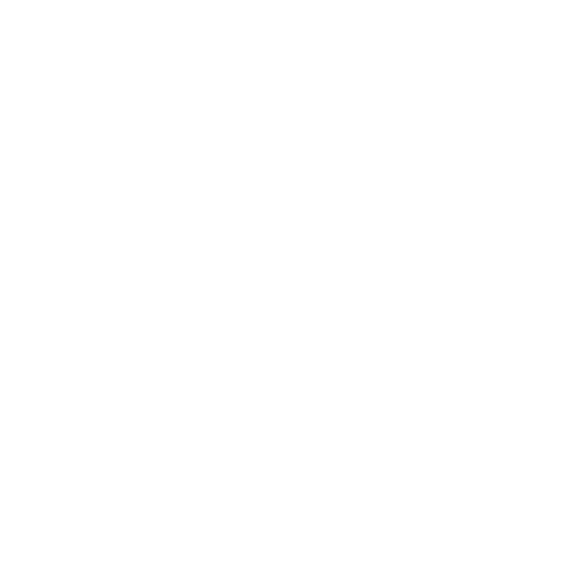 GAIN EXPERTISE FROM CHINA’S DIGITAL FRONTLINES