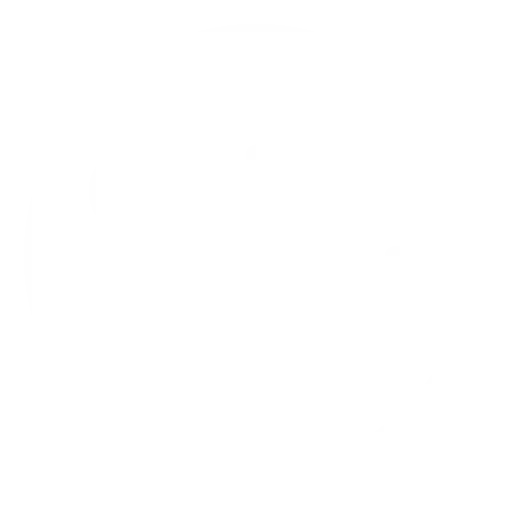 a journey of cultural integration