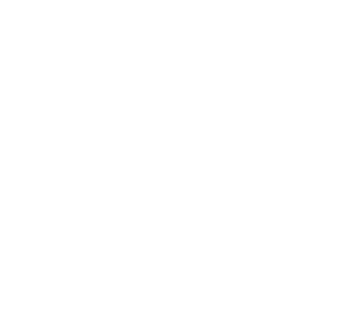 china's commitment to green tech