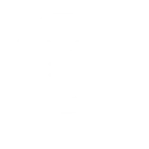 bespoke china research