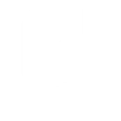 how to navigate china;s digital consumer landscape