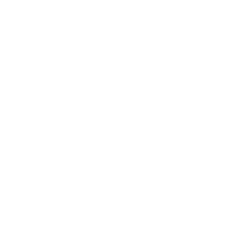 china's data driven decision making