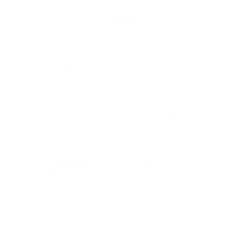 chinese digital platforms