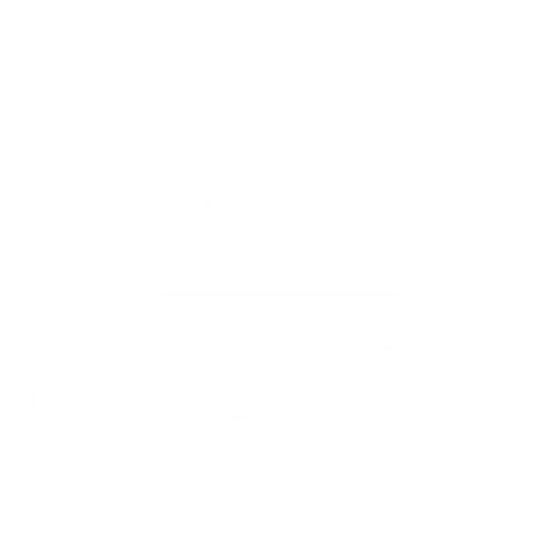 modern chinese consumers and customers centricity