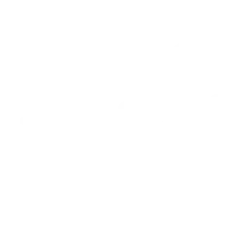 mobile payments for chinese tourists