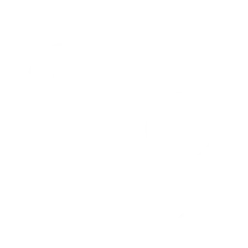 learn from chinese youth