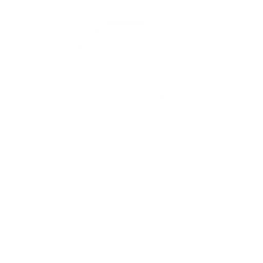 expert voices by chozan