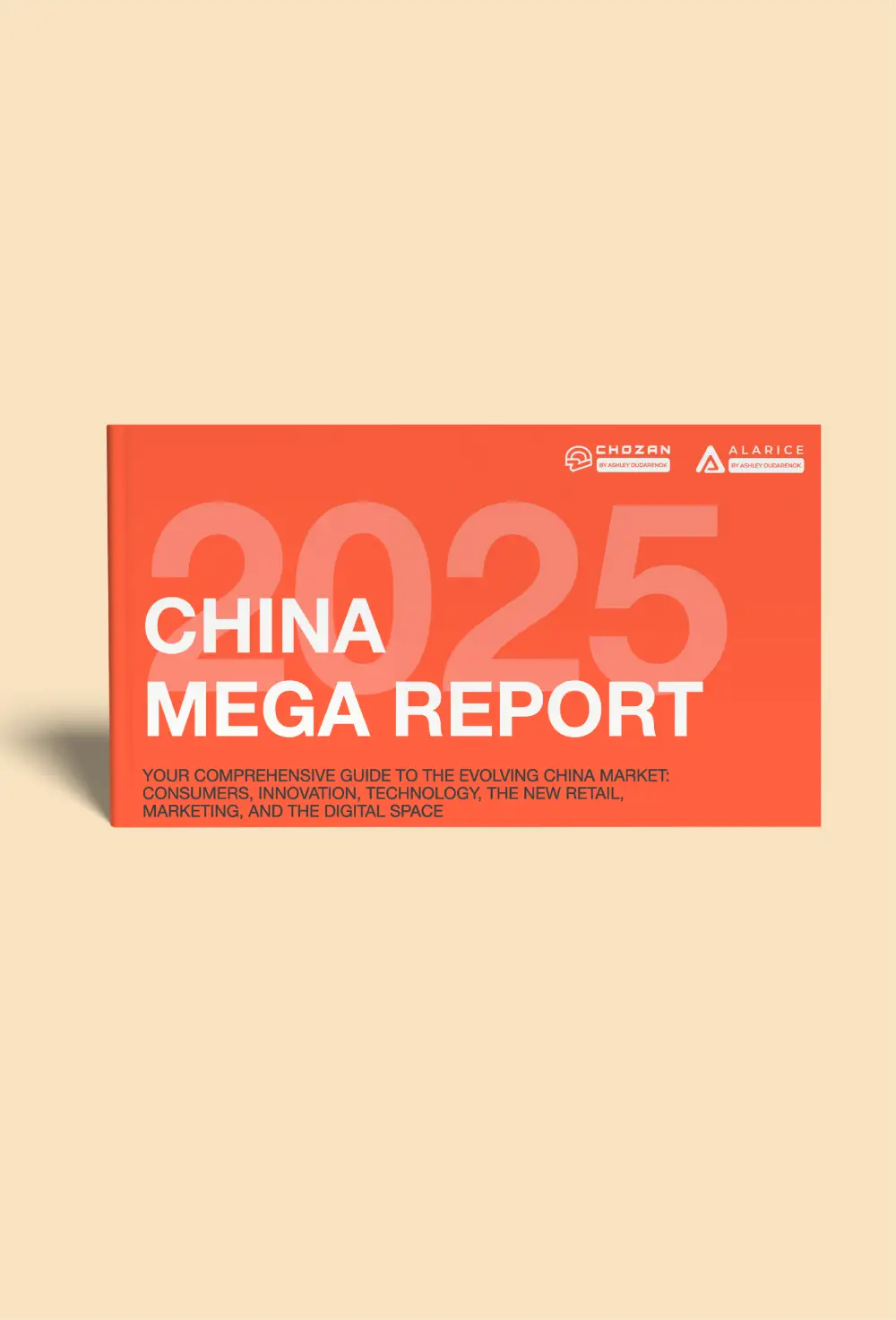 china mega report