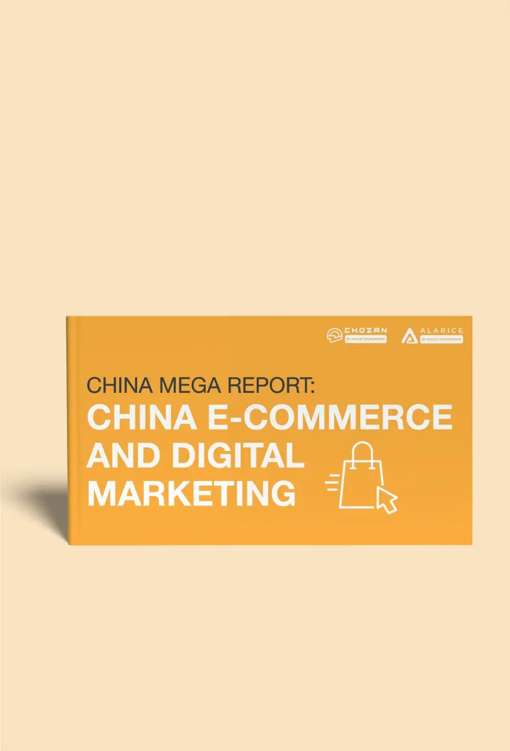 china mega report on e-commerce and digital marketing