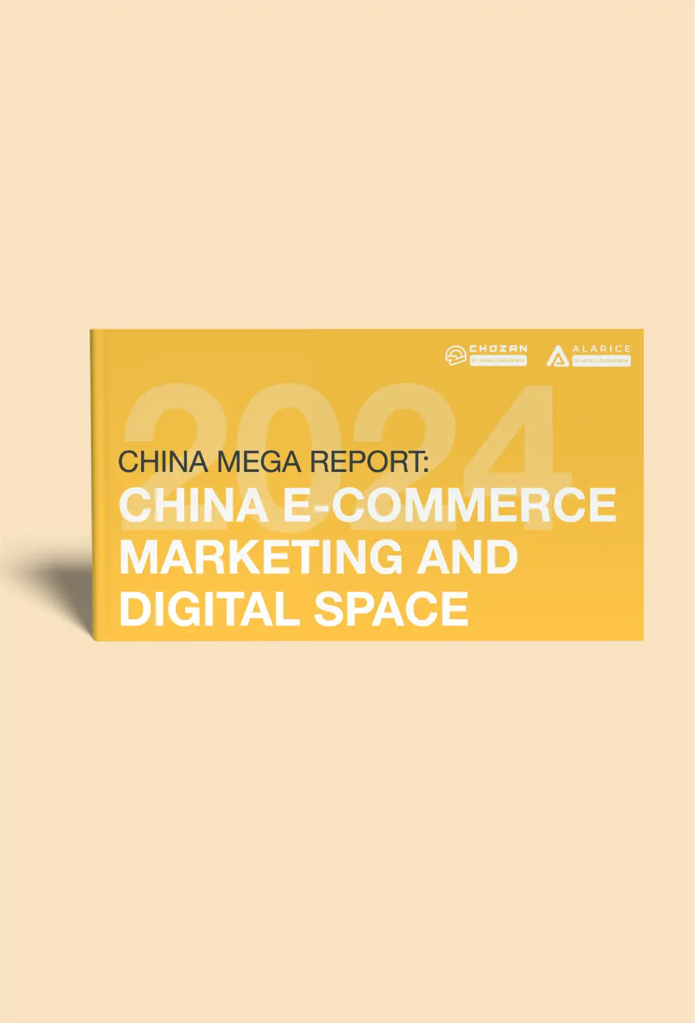 china mega report by chozan