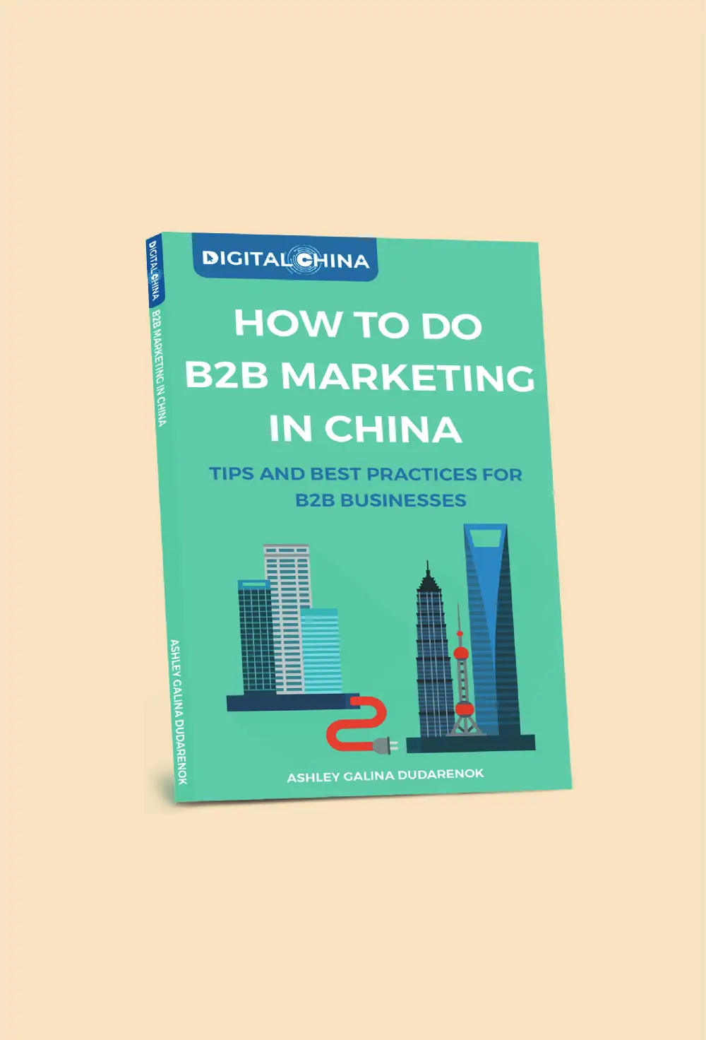 how to do B2B marketing in china