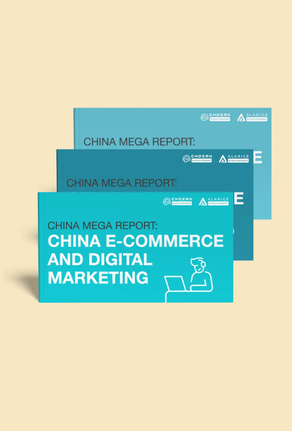 China Mega Report on e-commerce and digital marketing