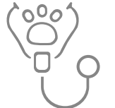 Pet healthcare icon