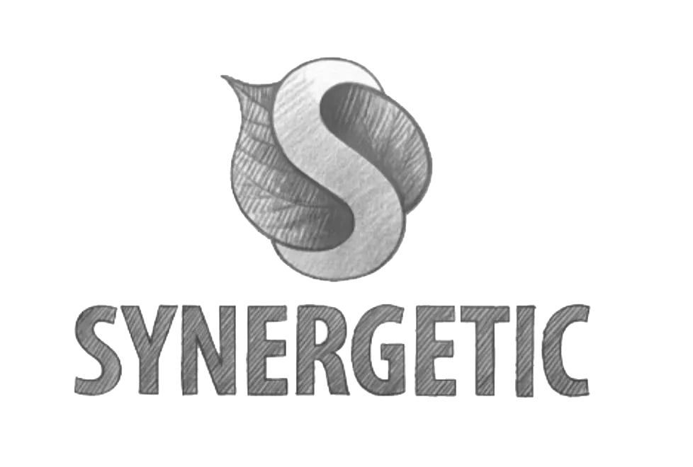 SYNERGETIC relies on ChoZan insights