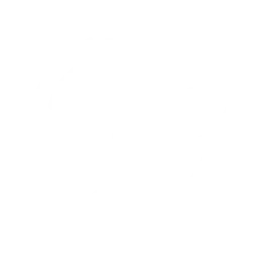 chinese consumers focus and quality and fast delivery