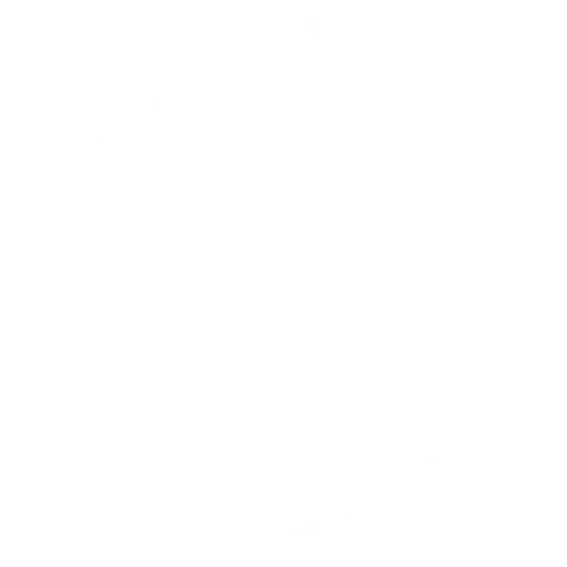 MILLENNIALS AND GEN Z ARE THE FUTURE OF CONSUMPTION